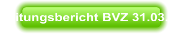 Zeitungsbericht BVZ 31.03.26